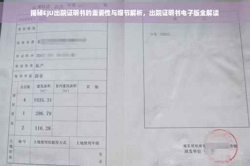 揭秘EJU出院证明书的重要性与细节解析，出院证明书电子版全解读