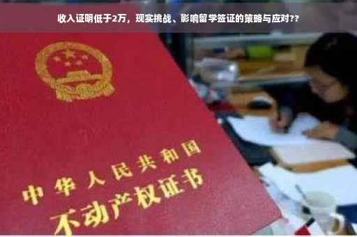 收入证明低于2万，现实挑战、影响留学签证的策略与应对??