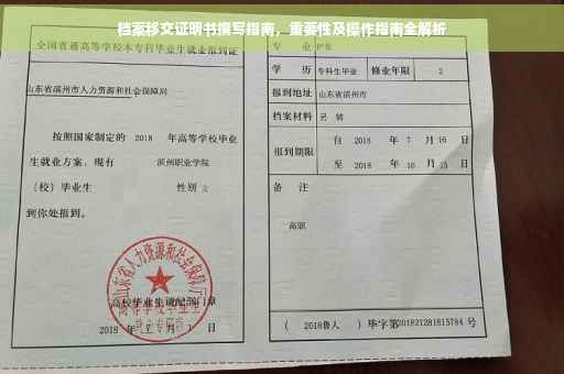 档案移交证明书撰写指南，重要性及操作指南全解析