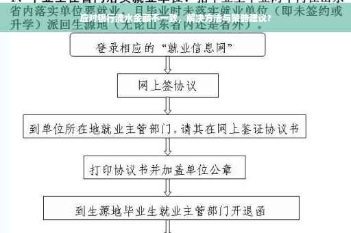 应对银行流水金额不一致，解决方法与策略建议?
