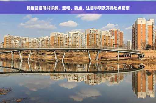 调档案证明书详解，流程、要点、注意事项及开具地点指南