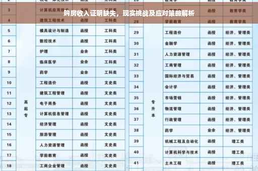 购房收入证明缺失，现实挑战及应对策略解析