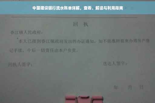 中国建设银行流水账单详解，查看、解读与利用指南