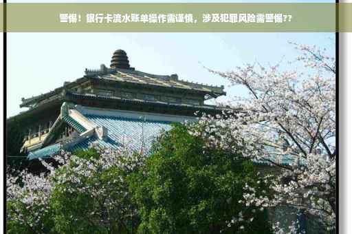 警惕！银行卡流水账单操作需谨慎，涉及犯罪风险需警惕??