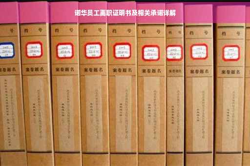 诺华员工离职证明书及相关承诺详解