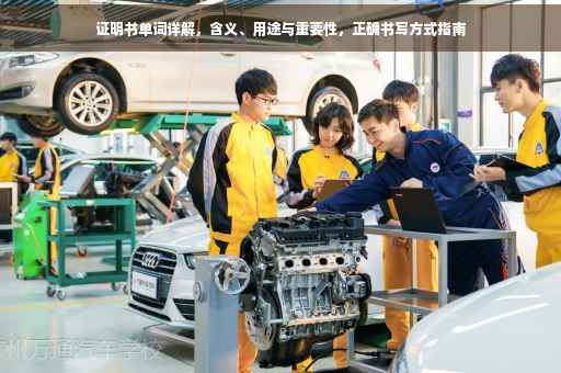 证明书单词详解，含义、用途与重要性，正确书写方式指南