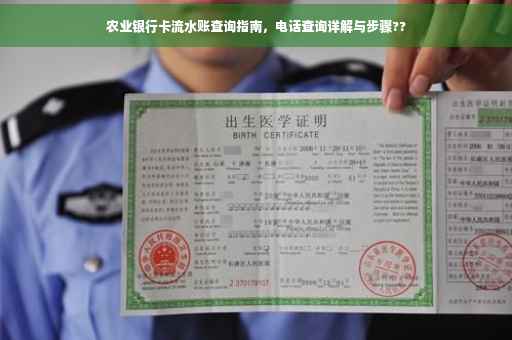 农业银行卡流水账查询指南，电话查询详解与步骤??