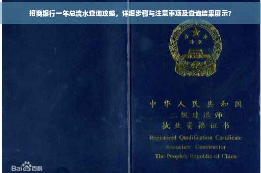 招商银行一年总流水查询攻略，详细步骤与注意事项及查询结果展示?