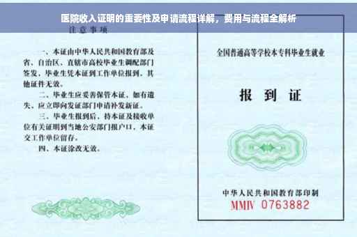 医院收入证明的重要性及申请流程详解，费用与流程全解析