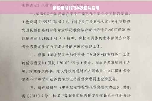 诉讼证明书范本及图片指南