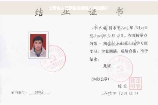 公司收入证明的重要性与用途解析