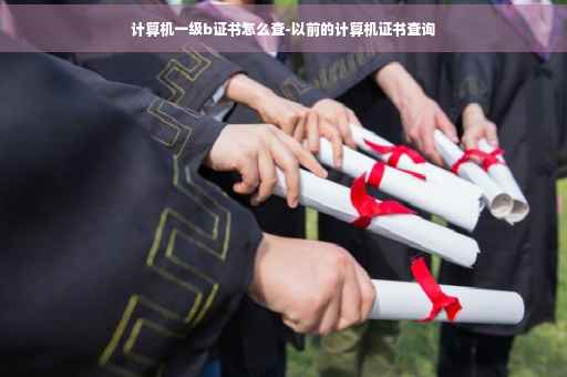 计算机一级b证书怎么查-以前的计算机证书查询