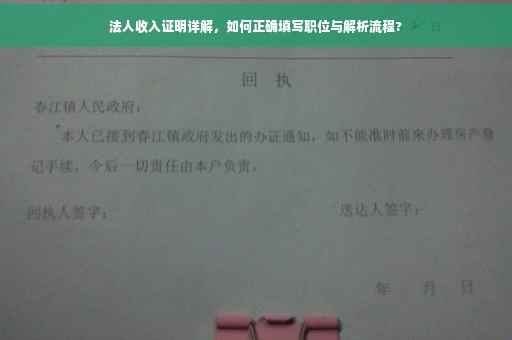 法人收入证明详解，如何正确填写职位与解析流程?