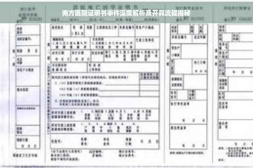 南方医院证明书事件深度解析及开具流程揭秘