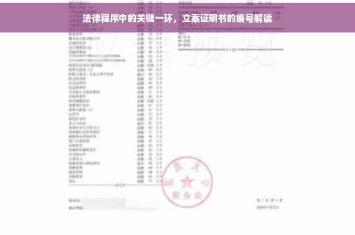 法律程序中的关键一环，立案证明书的编号解读