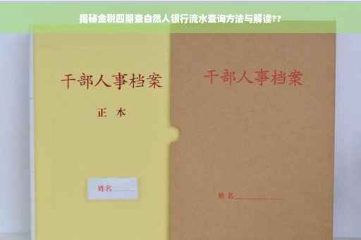 揭秘金税四期查自然人银行流水查询方法与解读??