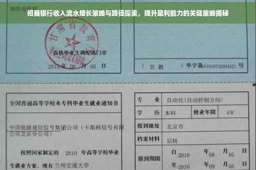 招商银行收入流水增长策略与路径探索，提升盈利能力的关键策略揭秘