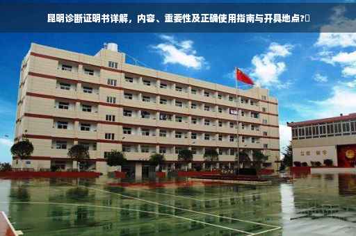 昆明诊断证明书详解，内容、重要性及正确使用指南与开具地点?✨
