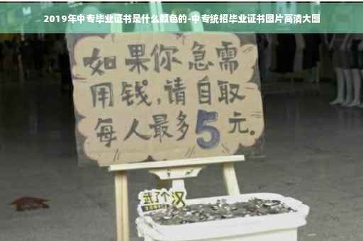 2019年中专毕业证书是什么颜色的-中专统招毕业证书图片高清大图