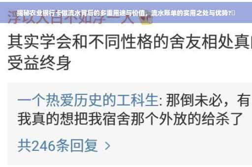 揭秘农业银行卡做流水背后的多重用途与价值，流水账单的实用之处与优势?✨