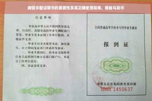 病假诊断证明书的重要性及其正确使用指南，模板与启示