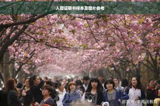 入团证明书样本及图片参考