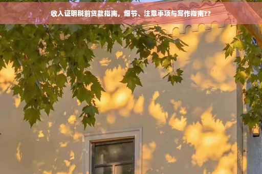 收入证明税前贷款指南，细节、注意事项与写作指南??