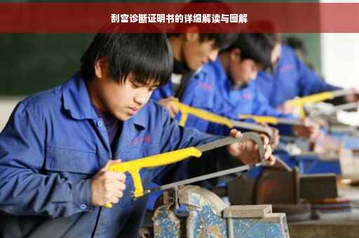 刮宫诊断证明书的详细解读与图解