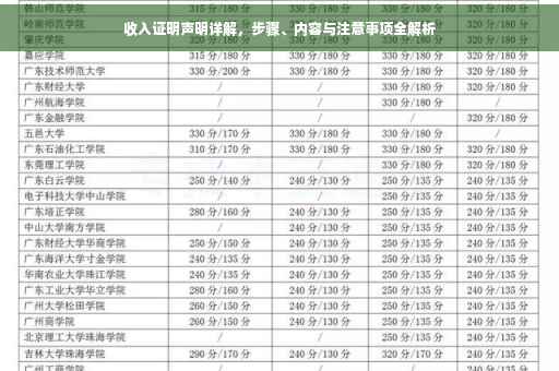 收入证明声明详解，步骤、内容与注意事项全解析