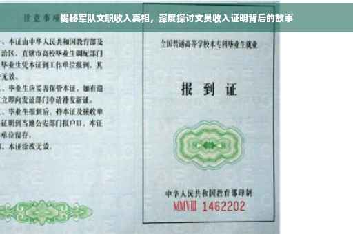 揭秘军队文职收入真相，深度探讨文员收入证明背后的故事