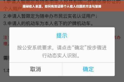 揭秘收入来源，如何有效证明个人收入归属的方法与策略
