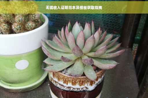 无锡收入证明范本及模板获取指南