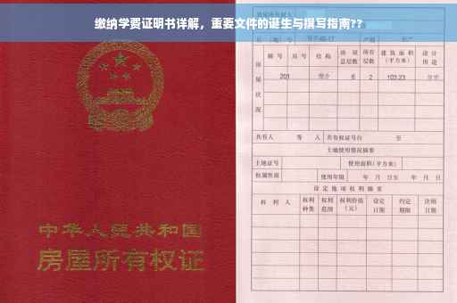 缴纳学费证明书详解，重要文件的诞生与撰写指南??