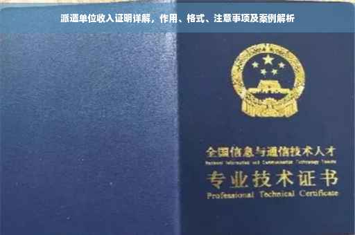 派遣单位收入证明详解，作用、格式、注意事项及案例解析