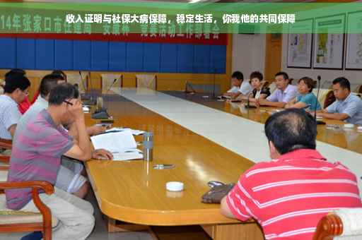 收入证明与社保大病保障，稳定生活，你我他的共同保障