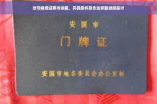 毕节病危证明书详解，开具条件及合法获取途径探讨
