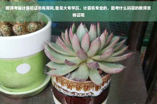 教师考编计算机证书有用吗,我是大专学历,计算机专业的,能考什么科目的教师资格证呢 教师考编计算机证书有用吗,我是大专学历,计算机专业的,能考什么科目的教师资格证呢