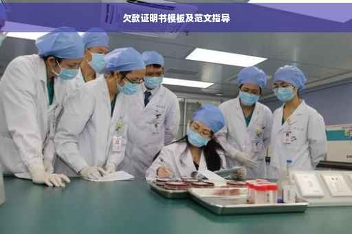 欠款证明书模板及范文指导