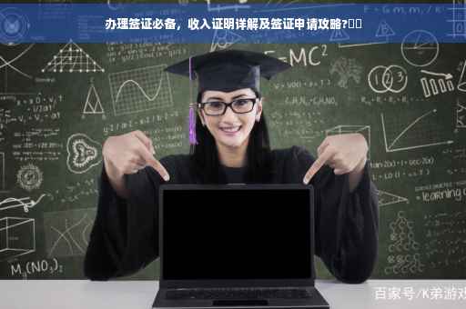 办理签证必备，收入证明详解及签证申请攻略?⚡️