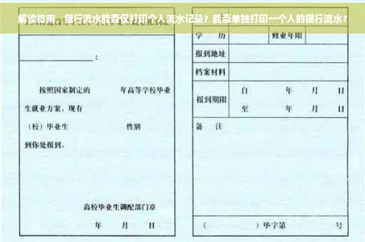 解读指南，银行流水能否仅打印个人流水记录？能否单独打印一个人的银行流水？