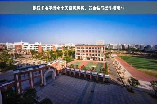 银行卡电子流水十天查询解析，安全性与操作指南??
