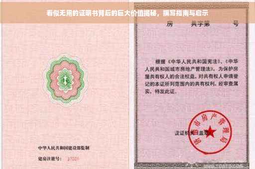 看似无用的证明书背后的巨大价值揭秘，撰写指南与启示