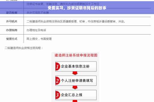 免费实习，珍贵证明书背后的故事