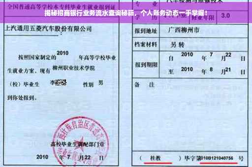 揭秘招商银行业务流水查询秘籍，个人账务动态一手掌握！