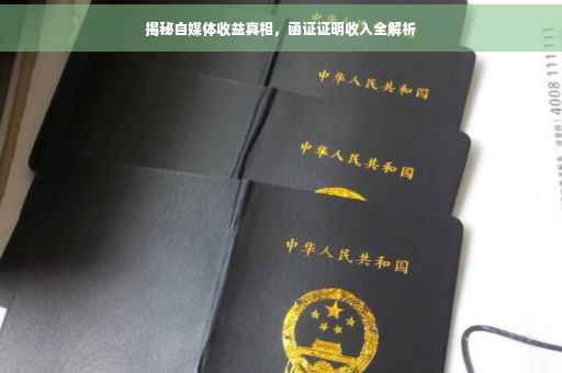 揭秘自媒体收益真相，函证证明收入全解析