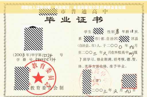 泗阳收入证明详解，真实情况、未来发展潜力及开具地点全知道