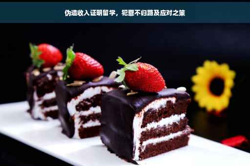伪造收入证明留学，犯罪不归路及应对之策