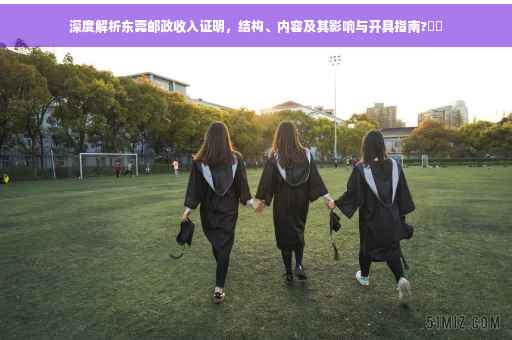 深度解析东莞邮政收入证明，结构、内容及其影响与开具指南?⚡️