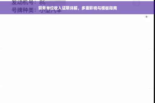 劳务单位收入证明详解，多重影响与模板指南