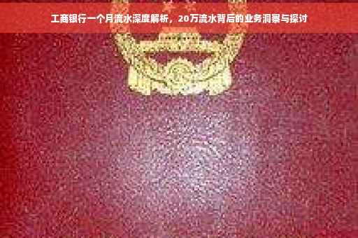 工商银行一个月流水深度解析，20万流水背后的业务洞察与探讨